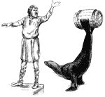 Seals