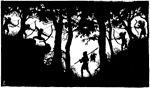 Hunted